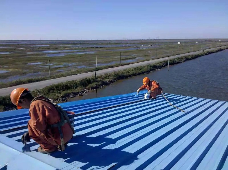 通城彩钢瓦屋面防腐翻新